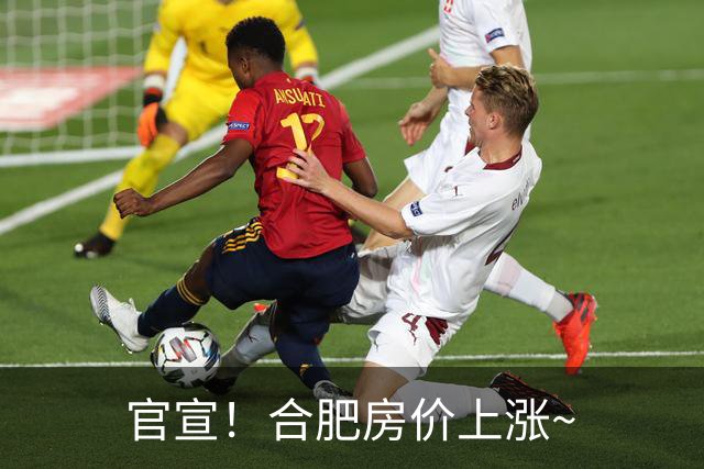 官宣！合肥房价上涨~