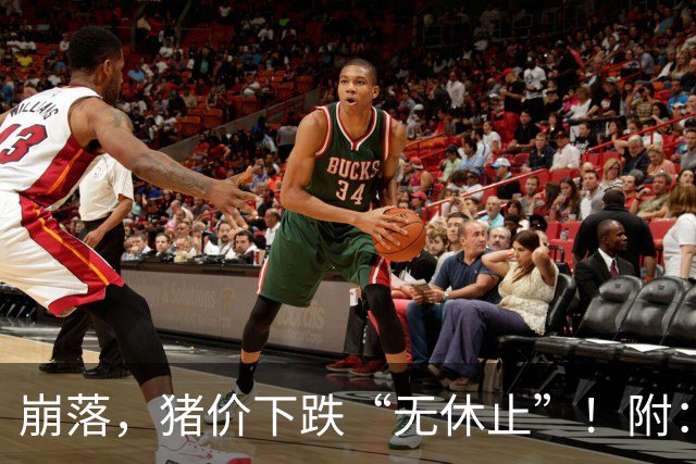 崩落，猪价下跌“无休止”！附：10月28日猪价