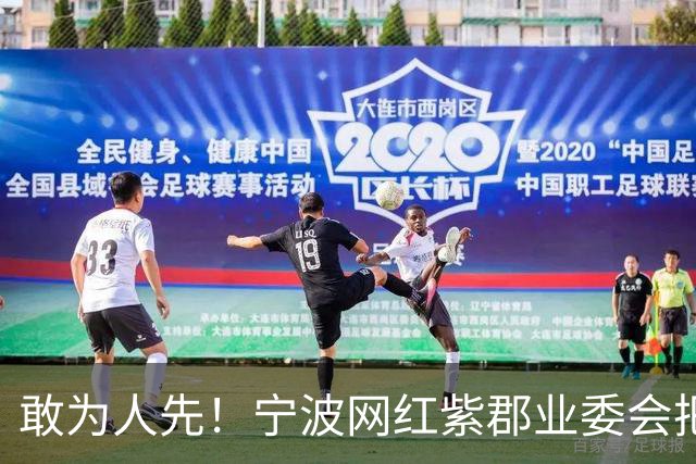 敢为人先！宁波网红紫郡业委会把长期欠物业费业主给强制执行了！