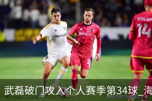 武磊破门攻入个人赛季第34球 海港5-0津门虎